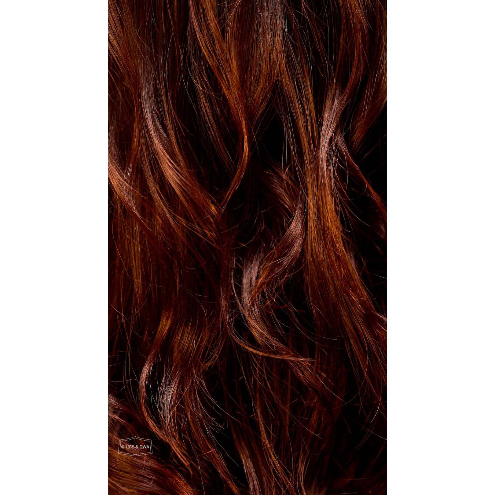 Chief Stoick - Image 8