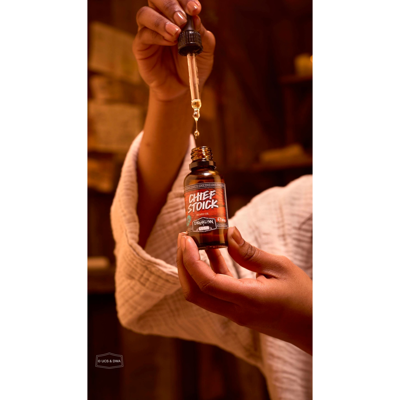 Chief Stoick - Image 4