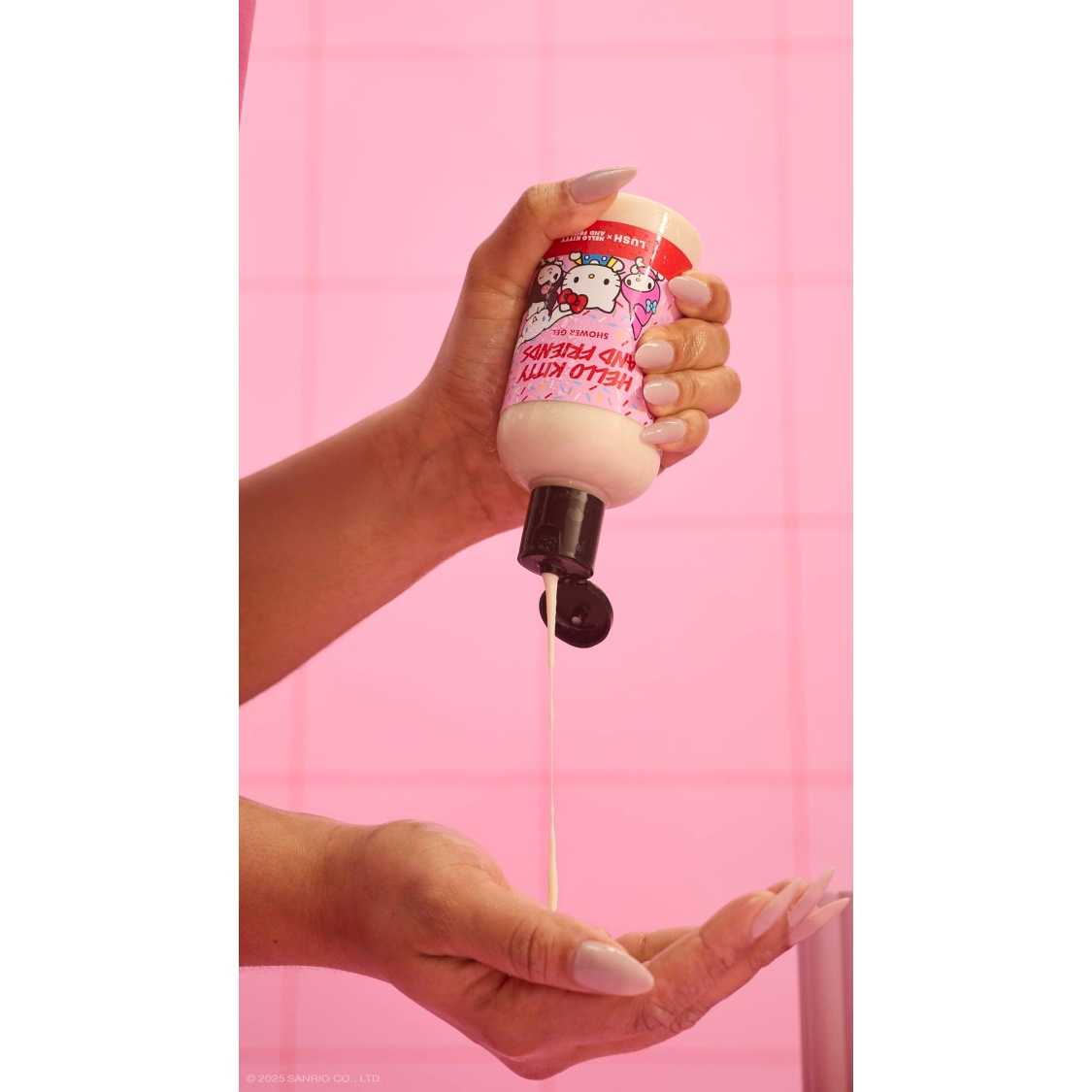 Hello Kitty And Friends - Image 4