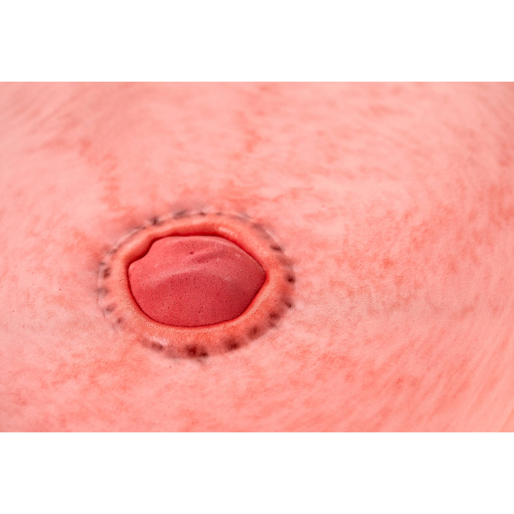 Sticky Dates - Image 6