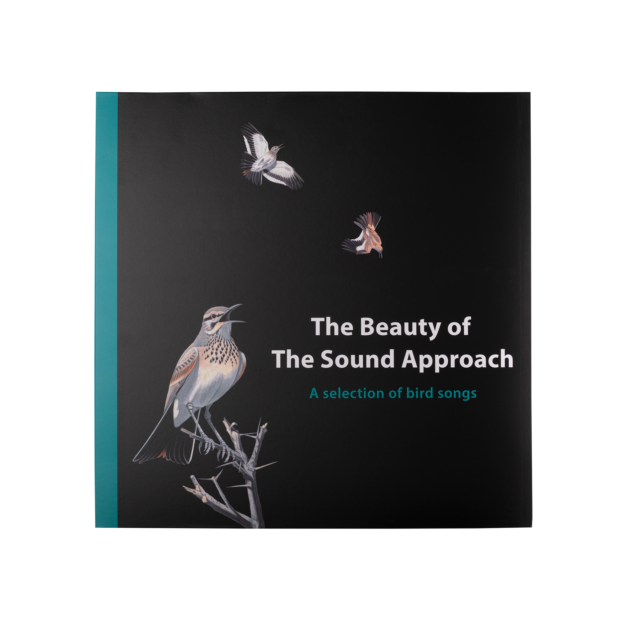 The Beauty of the Sound Approach