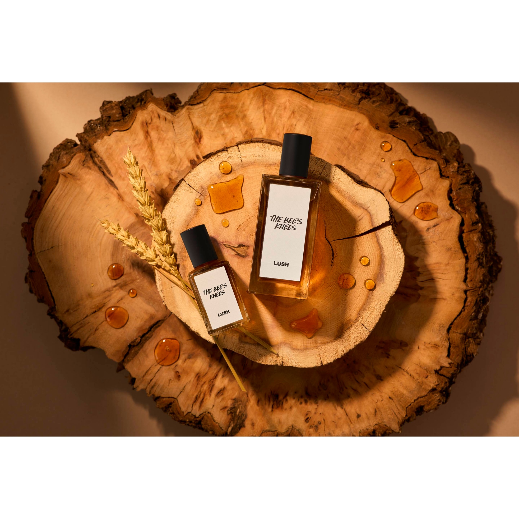 The Bee's Knees - Image 2